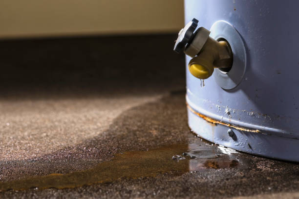Best Flood restoration services  in Doney Park, AZ