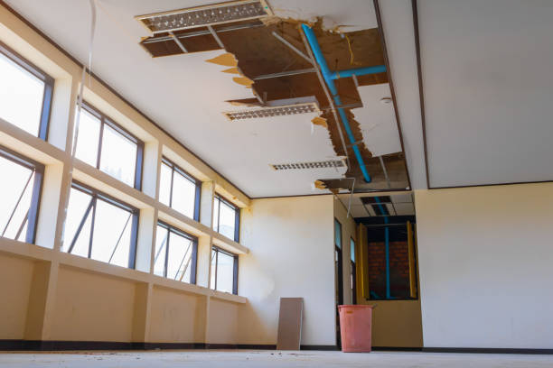 Best Emergency water damage restoration  in Doney Park, AZ