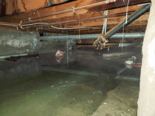 Sewage cleanup and water damage restoration in Doney Park, AZ