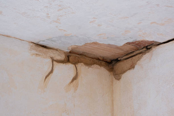 Best Basement water damage restoration  in Doney Park, AZ