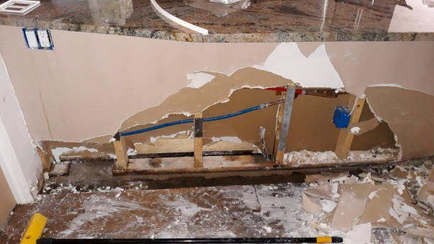 Best Water damage restoration near me  in Doney Park, AZ