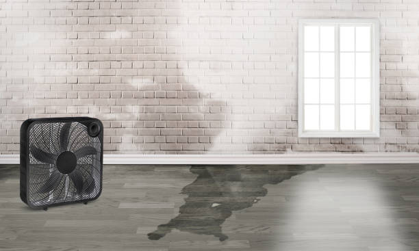 Best Residential water damage restoration  in Doney Park, AZ