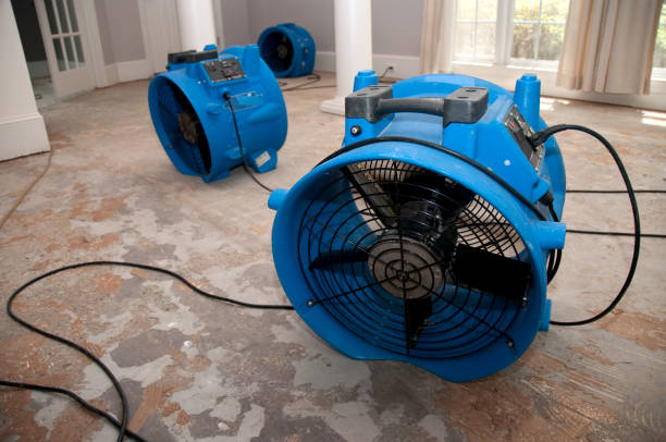 Reliable Doney Park, AZ Water damage restoration Solutions