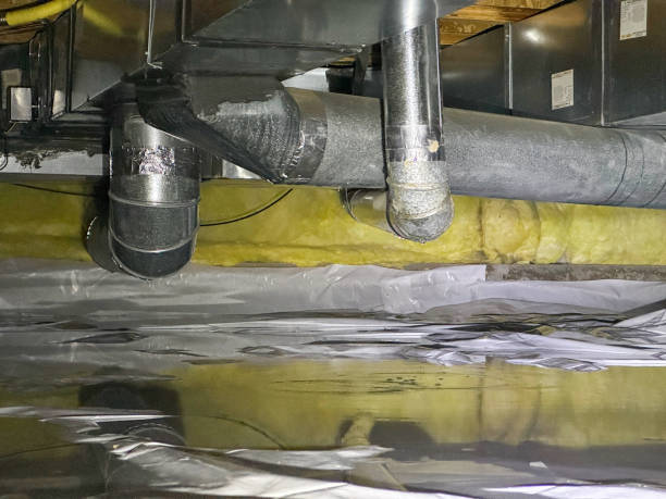 Best Professional water damage repair  in Doney Park, AZ