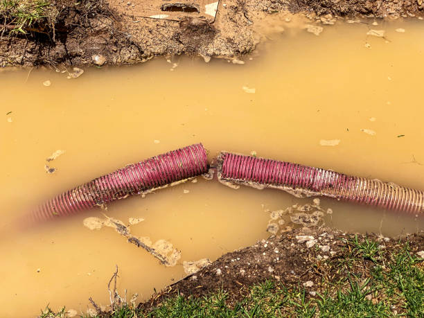 Best 24/7 water damage repair  in Doney Park, AZ