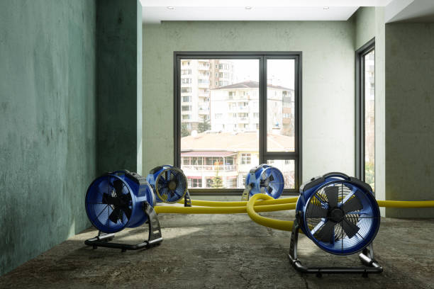 Best Water damage restoration near me  in Doney Park, AZ